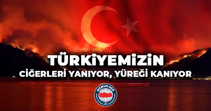 Türkiyemizin Ciğerleri Yanıyor, Yüreği Kanıyor