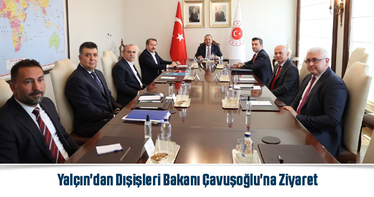 Yalçın’dan Dışişleri Bakanı Çavuşoğlu’na Ziyaret